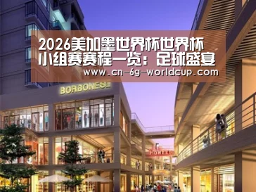 案例展示一