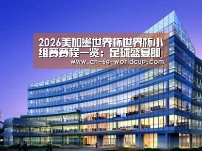 案例展示五